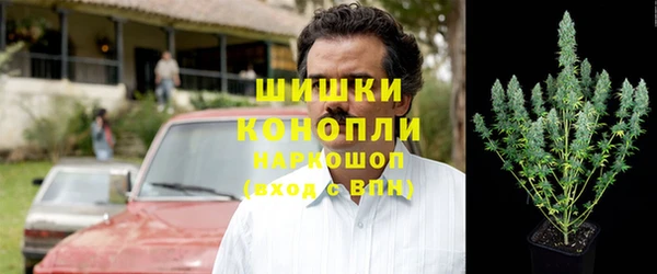 шишки Богданович
