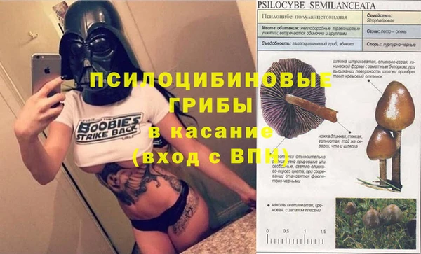 прущая мука Белоозёрский