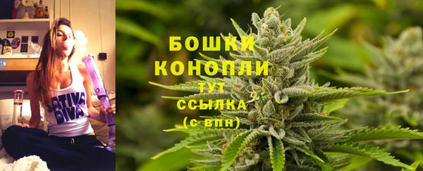шишки Богданович