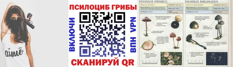 дарнет шоп  Ворсма  Псилоцибиновые грибы Magic Shrooms 